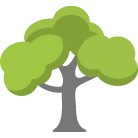 Boston Trees Removal