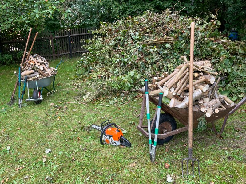 Residential Yard Cleanup